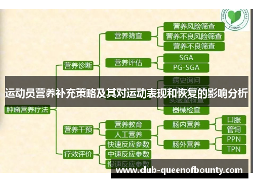 运动员营养补充策略及其对运动表现和恢复的影响分析 运动员营养补充策略及其对运动表现和恢复的影响分析